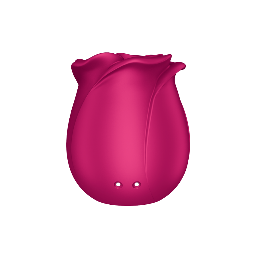 Stimulateur de clitoris rose par ondes de pression ou sans contact Pro 2 Classic Blossom Satisfyer - CC597840