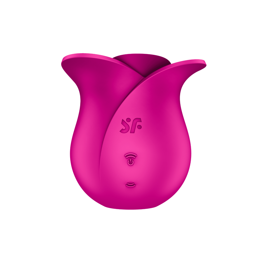 Stimulateur de clitoris rose par ondes de pression ou sans contact Pro 2 Modern Blossom Satisfyer - CC597841