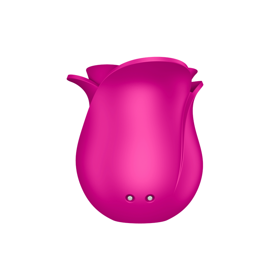 Stimulateur de clitoris rose par ondes de pression ou sans contact Pro 2 Modern Blossom Satisfyer - CC597841